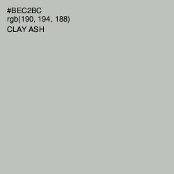 #BEC2BC - Clay Ash Color Image